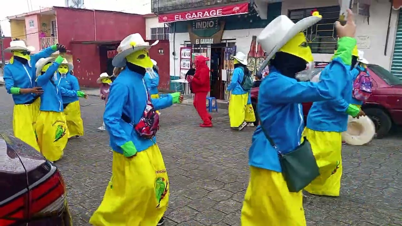 Comparsa Avenida Revolución Huauchinango Puebla 2026