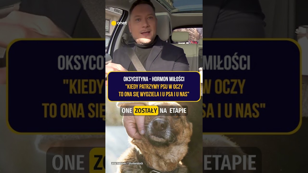 Oksycotyna - hormon miłości. 