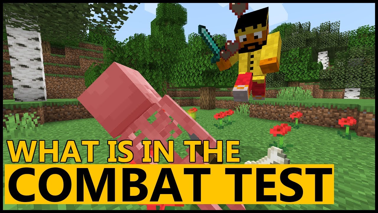 What Is In The COMBAT TEST For Minecraft