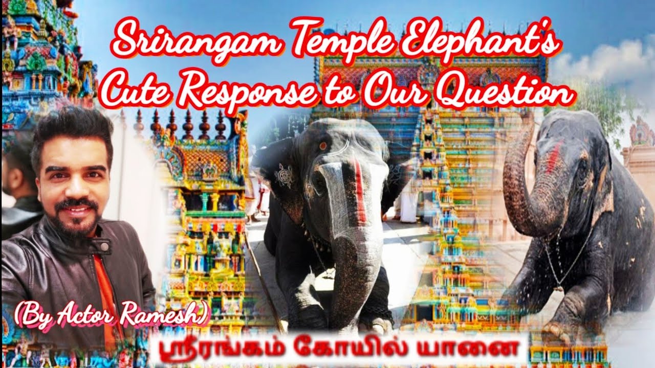 Srirangam Temple Elephants Andal Lakshmi Cute Response To Our Query | Ranganathar Ula | Kovil Yaanai