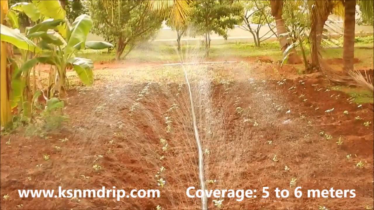 KSNM SPRAY IRRIGATION - Radish Field