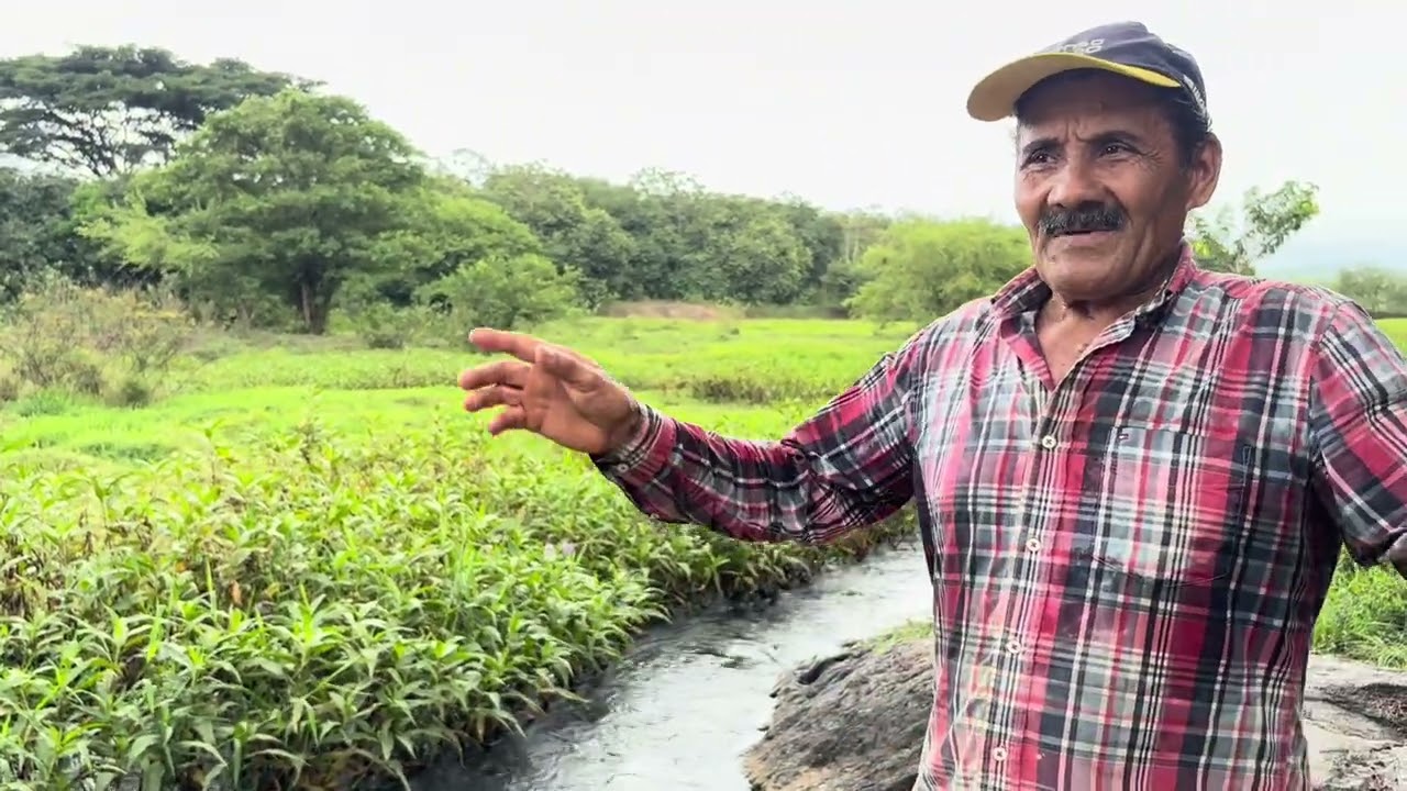 O Rio Capibaribe passando pela minha comunidade, trazendo paz e beleza todos os dias. #RioCapibaribe
