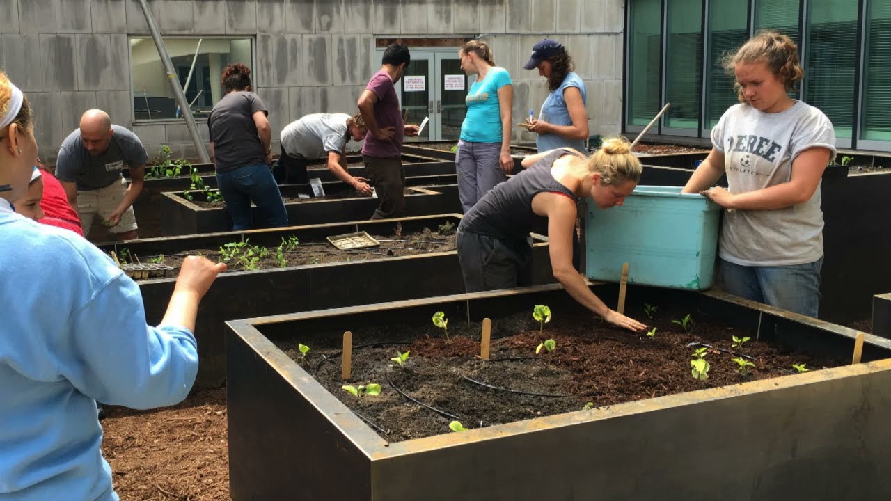 United Nations Food Gardens