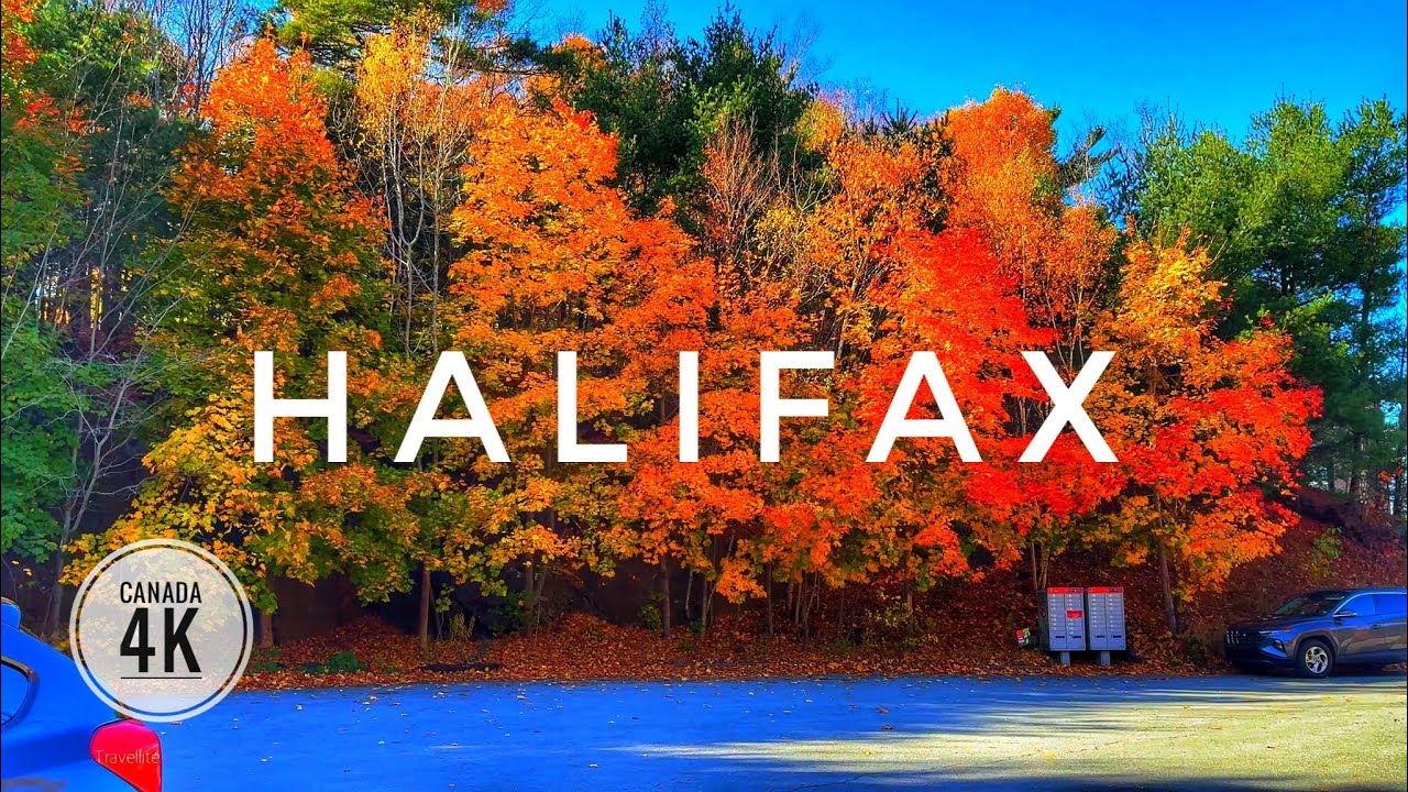 Beautiful Fall Foliage Halifax Canada 🇨🇦 | Regatta Point Park | Falling Leaves | October 2024