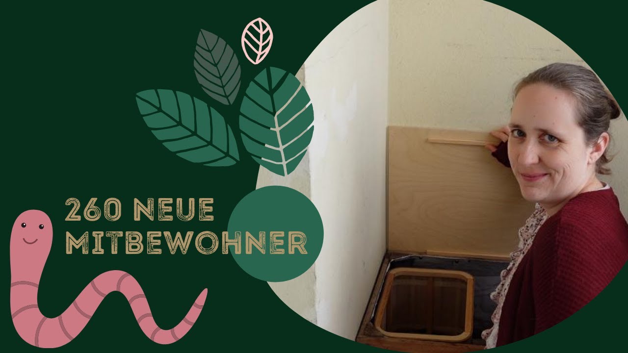 DIY - Wurmkiste - Kompostwürmer - Biomüll nachhaltig entsorgen