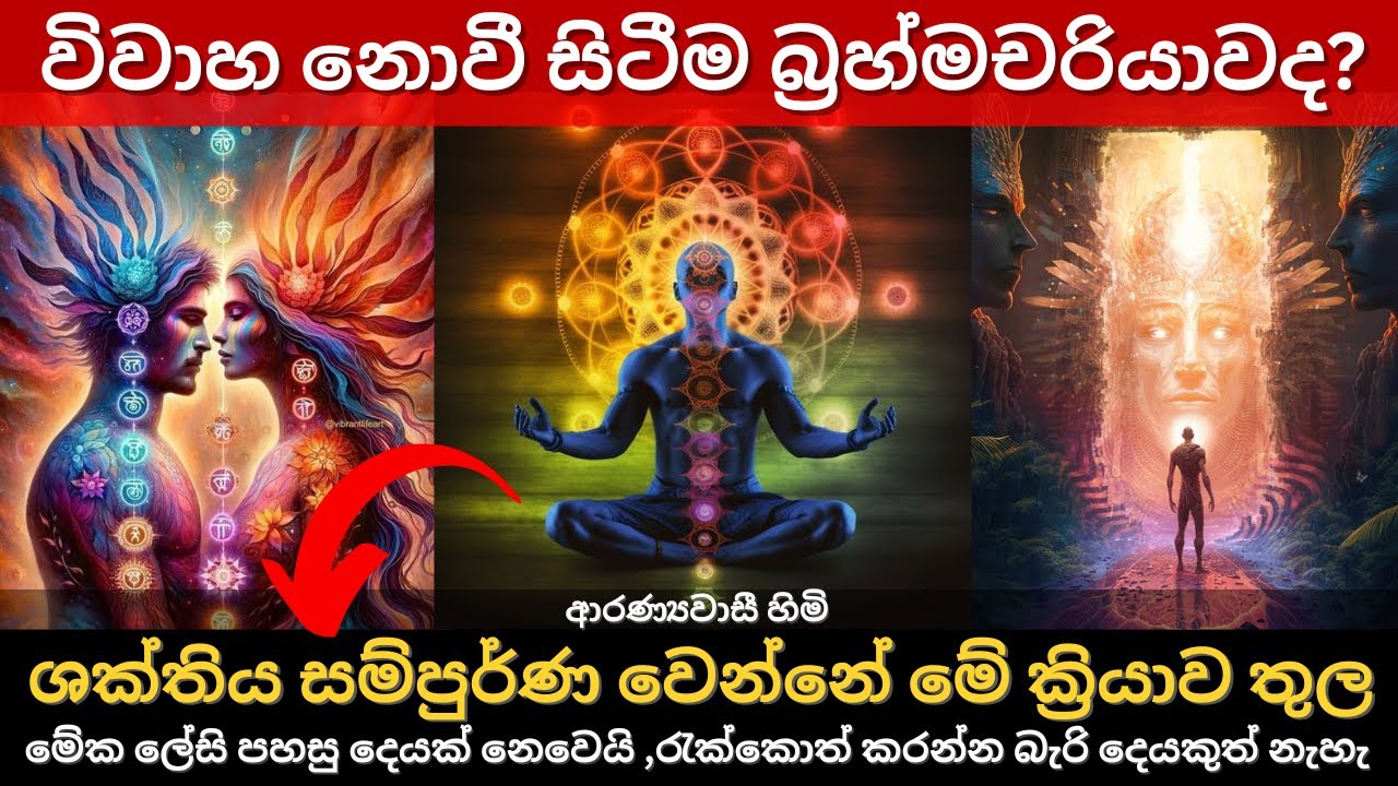 විවාහ නොවී සිටීමද බ්‍රහ්මචරියාව? | ශක්තිය සම්පුර්ණ වෙන්නේ මේ ක්‍රියාව තුල  | ආරණ්‍යවාසී හිමි