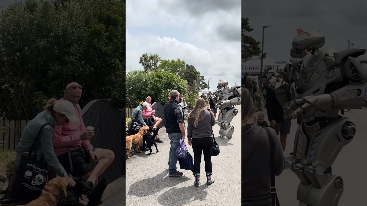 Who did let the dogs out? 