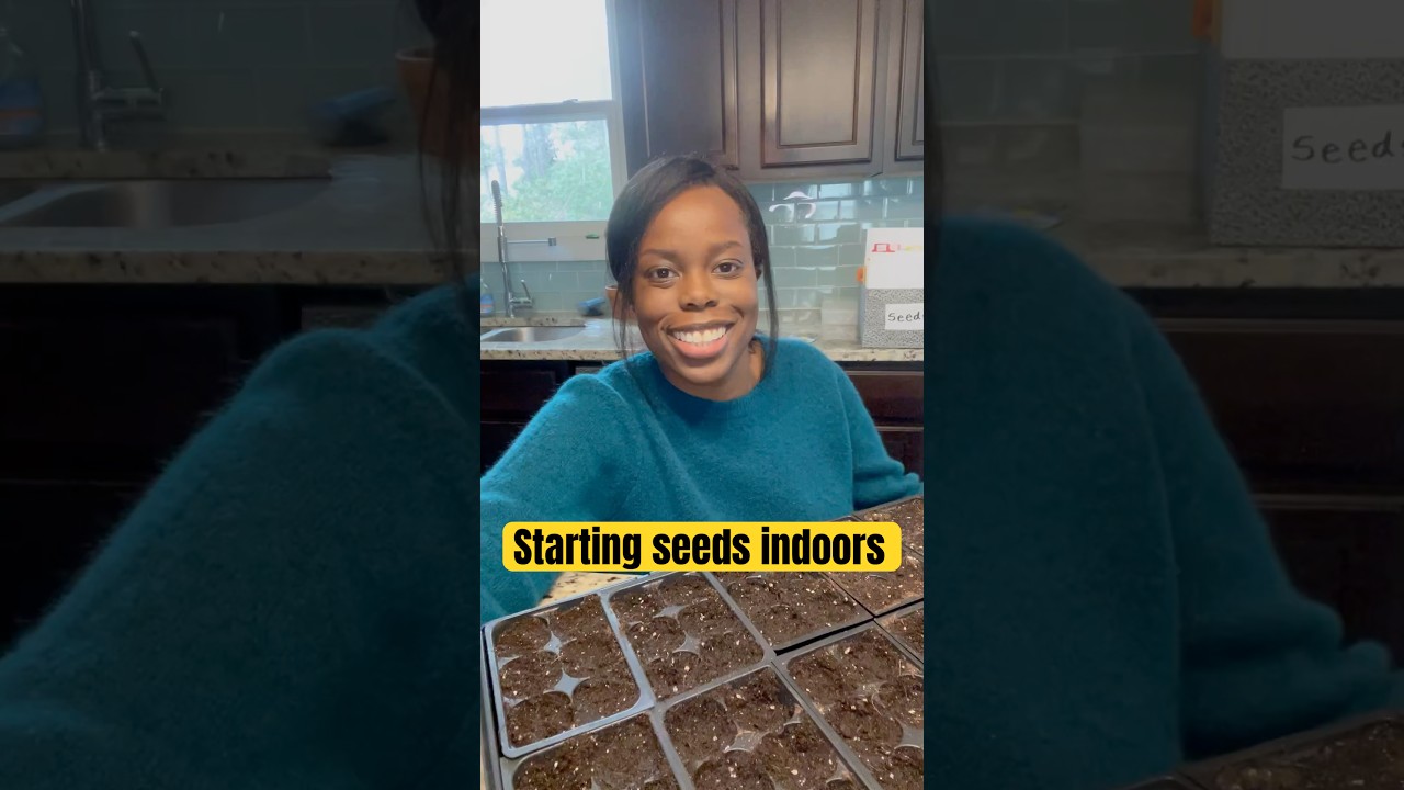Time to start seeds indoors #zone7b #seeds #garden ing#gardeningtips #gardener #startingseeds