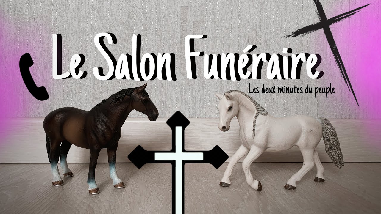 「Schleich Parodie」 Le Salon Funéraire !