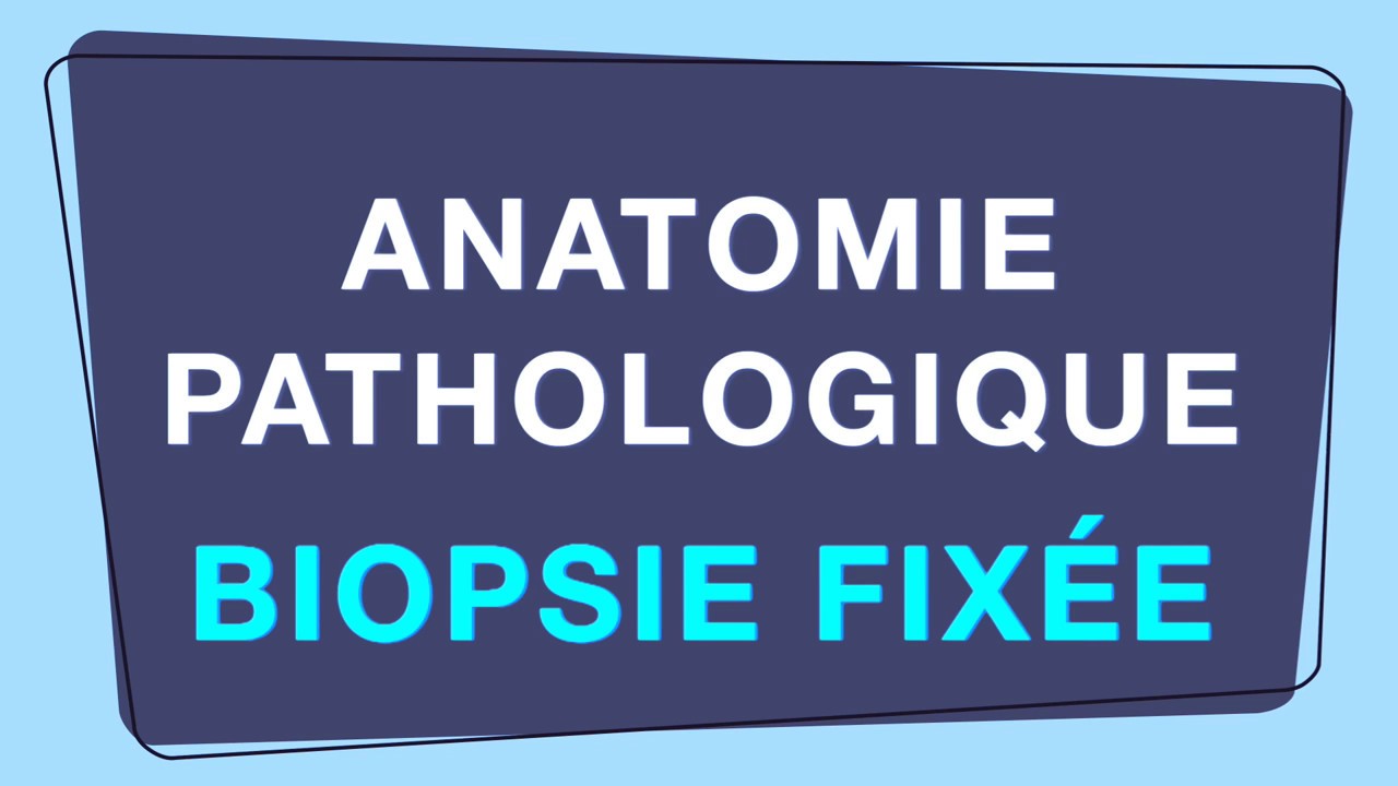 Anatomie Pathologique : examen d'une biopsie fixée