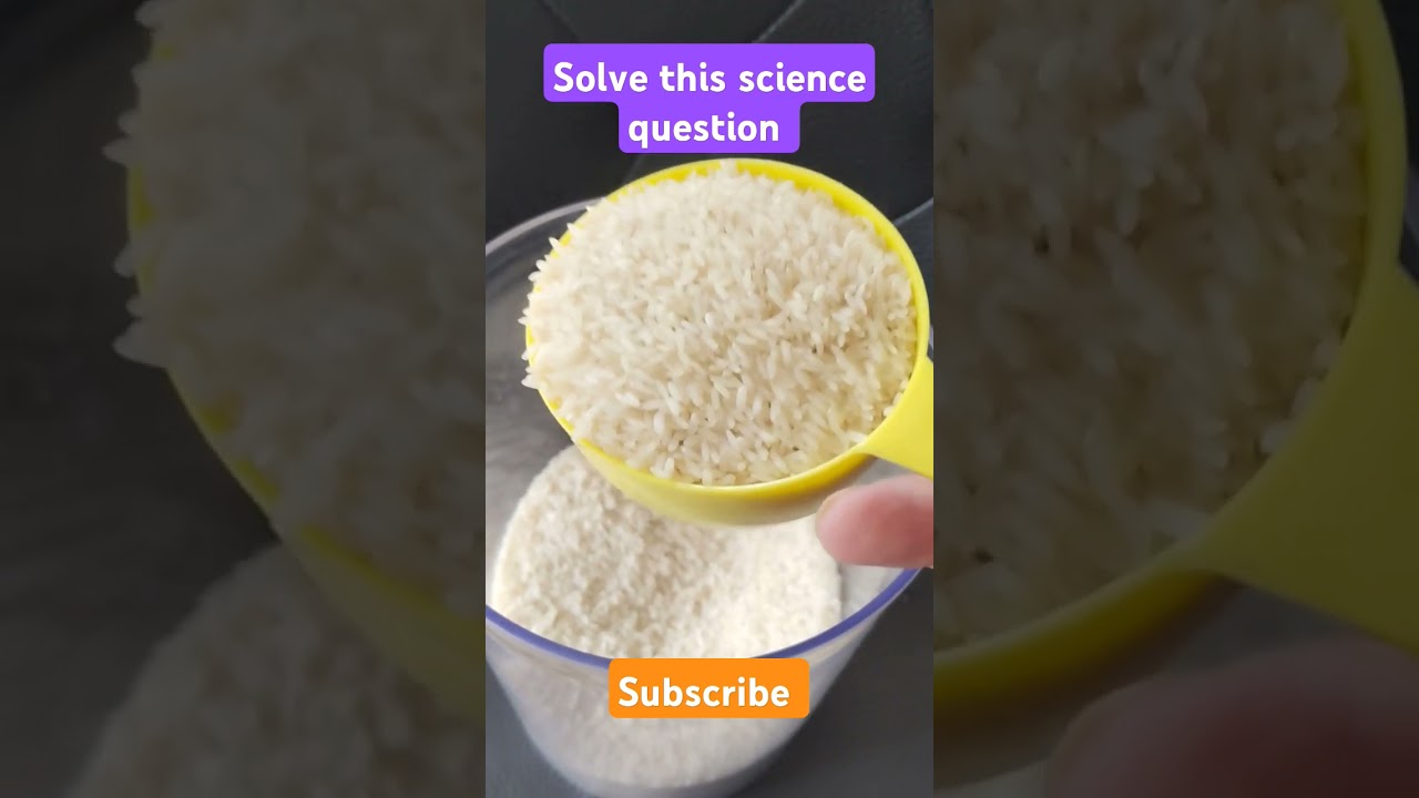 How does a cup of rice grow? 