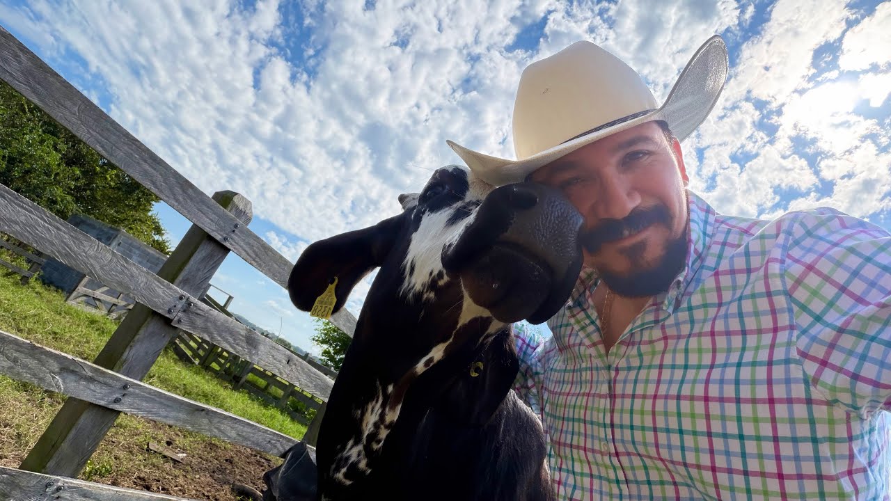 JALANDO EN EN RANCHO , en Navidad 🐄🐷 #trending #trabajo #rancho #ganaderia #porcicultura