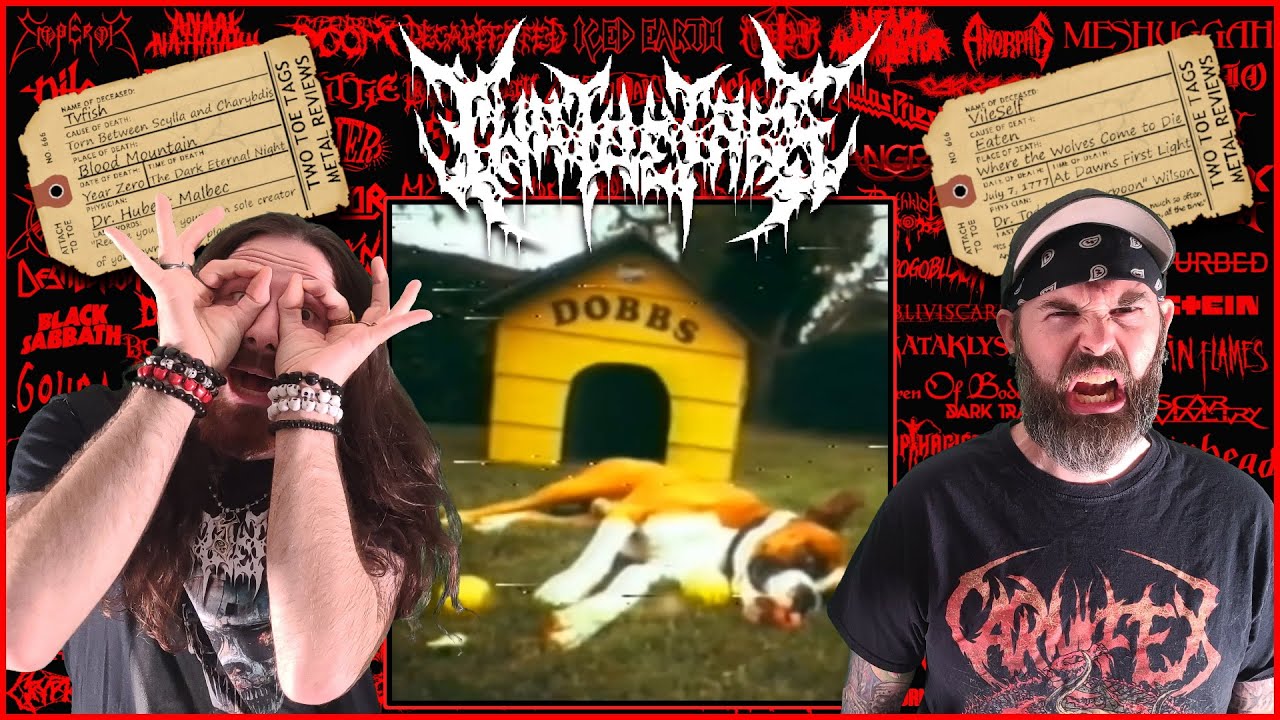 🤘Snot - Stoopid - REACTION