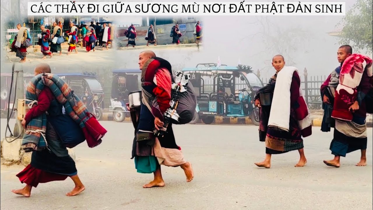 CÁC SƯ PHỤ VỀ RỒI. Ca Khúc Cực Hay: Giữa Sương Mù Đất Phật Đản Sinh 
