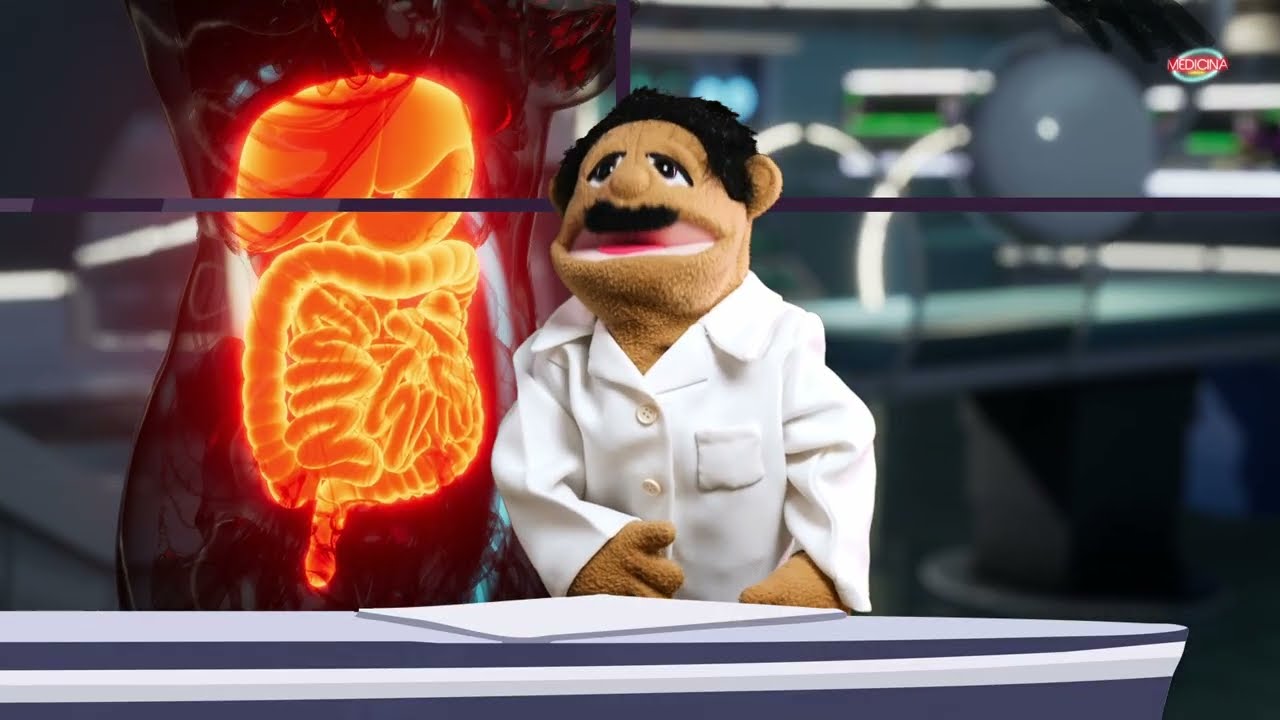 Qué es la enfermedad celíaca y cómo afecta al intestino | Medicina con Bacterio