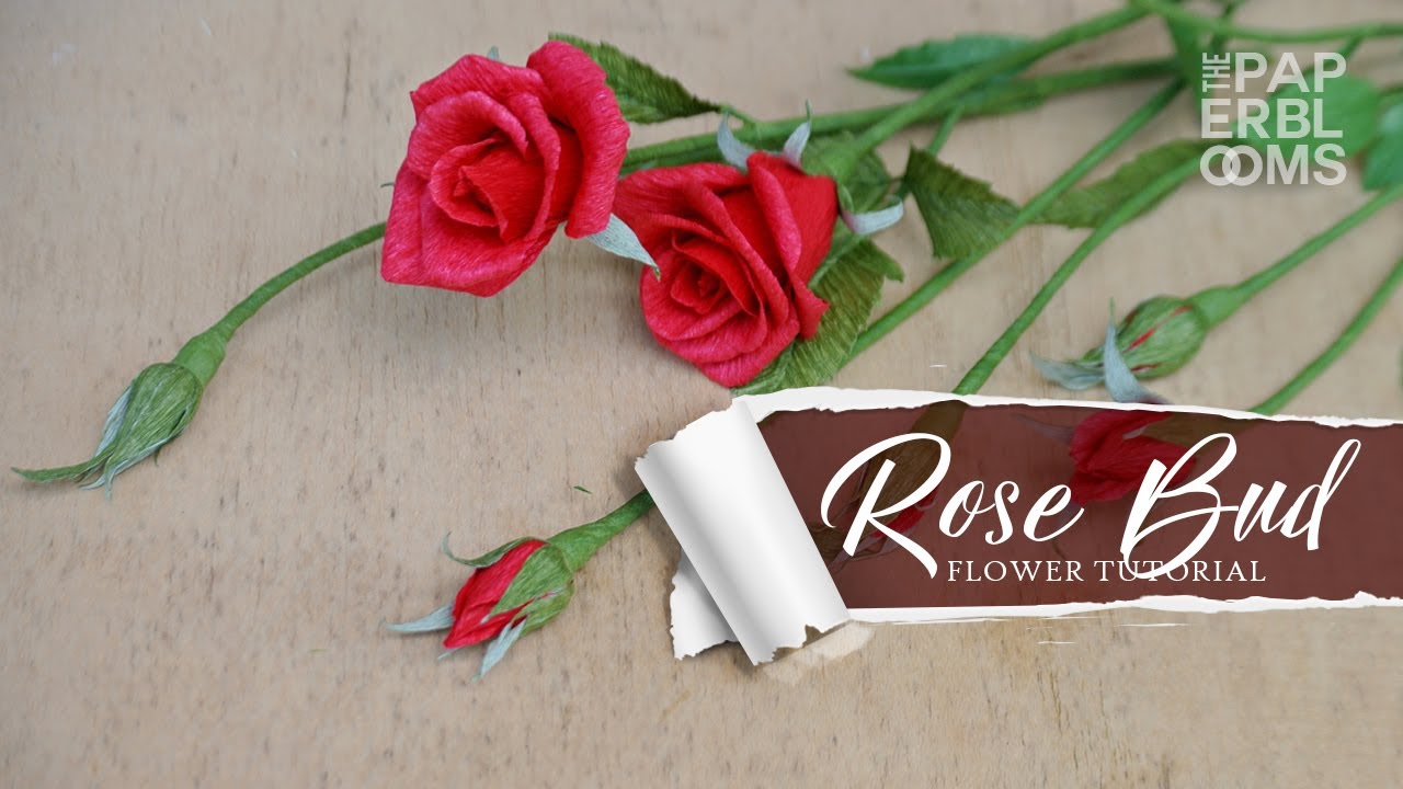 How to Make Realistic Crepe Paper Rose Buds