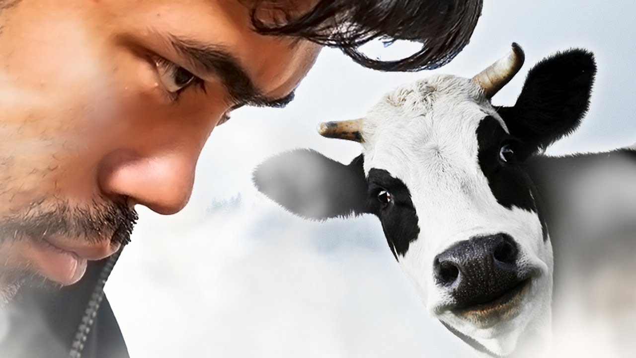 Playing the Cow in the Fog