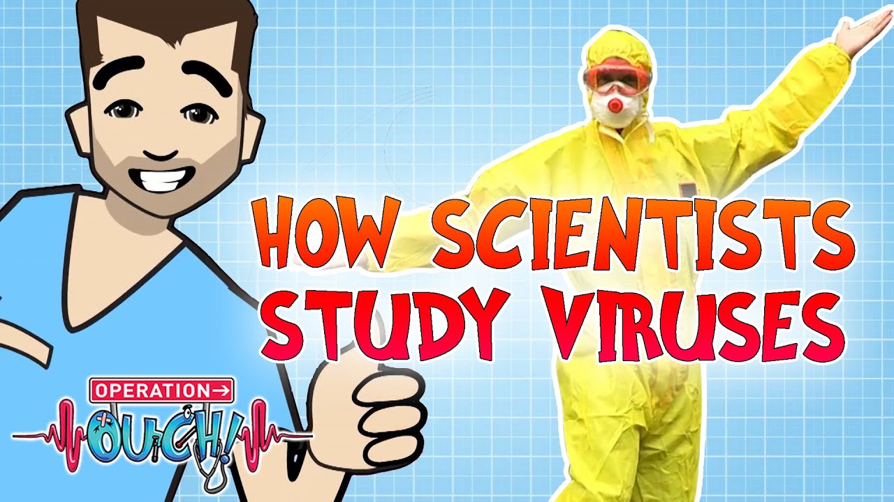 How Scientists Study Viruses | Operation Ouch