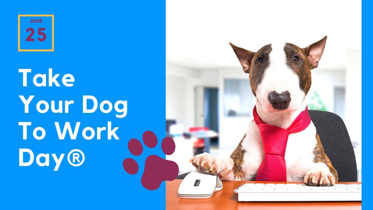 Take Your Dog To Work Day - Do you have a dog-friendly workplace?
