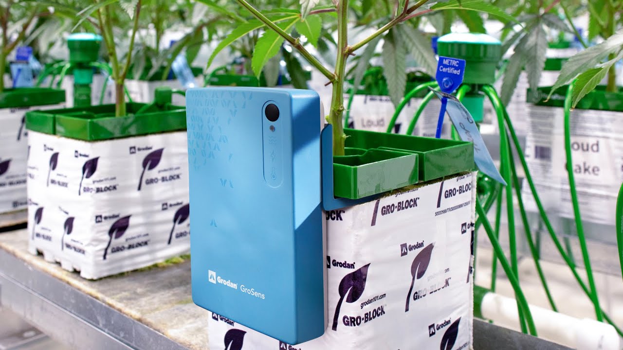 Grodan101 NA: Designed to grow