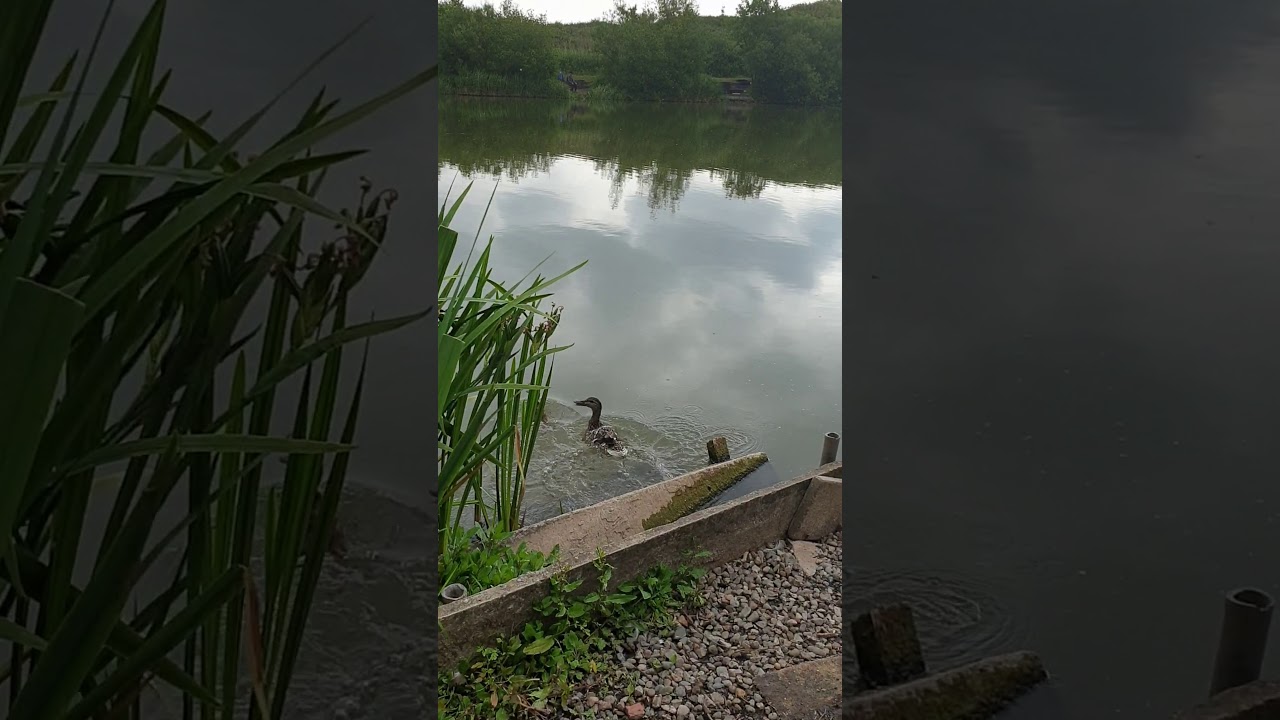 Brickworks Lake, Moreton, Wirral, UK - 9th June 2020