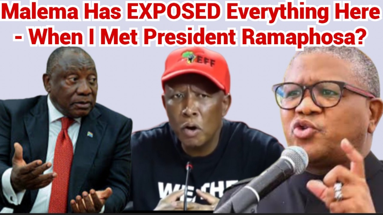 WATCH! As The EFF Leader Julius Malema EXPOSES Everything - When I Met President Ramaphosa.