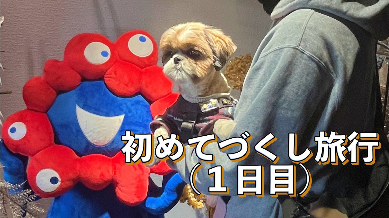 第６０話ひなたくんの初めてづくし旅行（１日目）