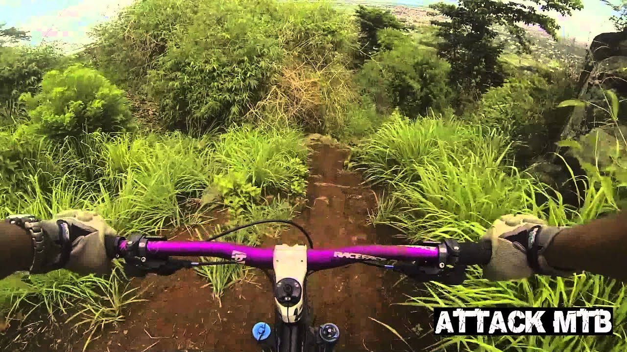 MTB LULZ: Antenna A-Line by cowpatchman