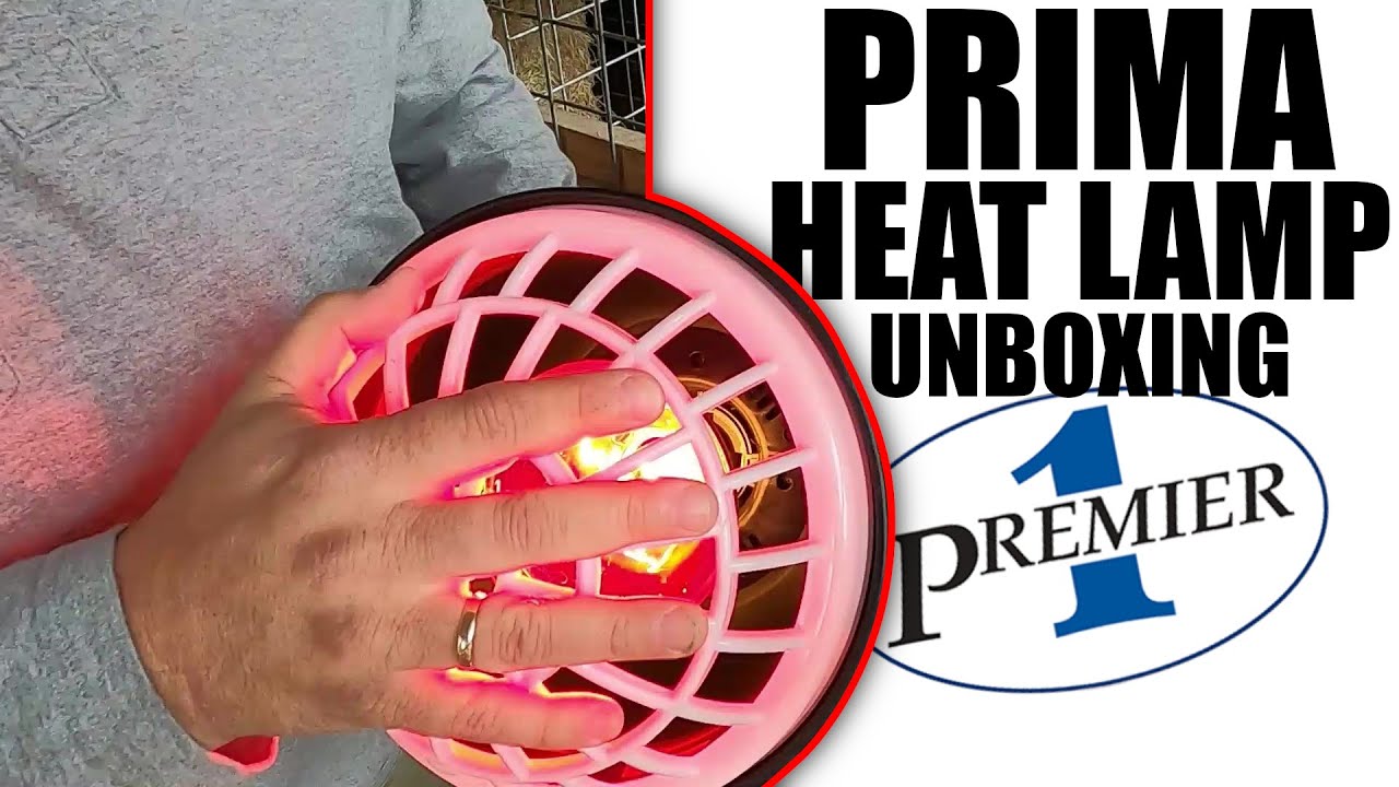 Мысли о лампе Prima Heat Lamp — хорошая, а не плохая и не уродливая!