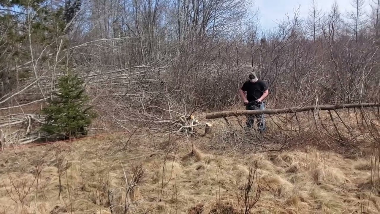 Pasture Clean Up PRT 1