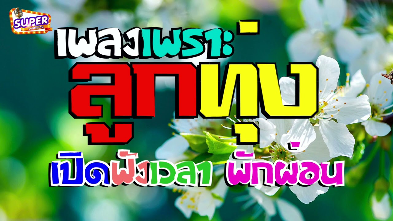 ลูกทุ่งเพลงเพราะ เปิดฟังเวลาพักผ่อน