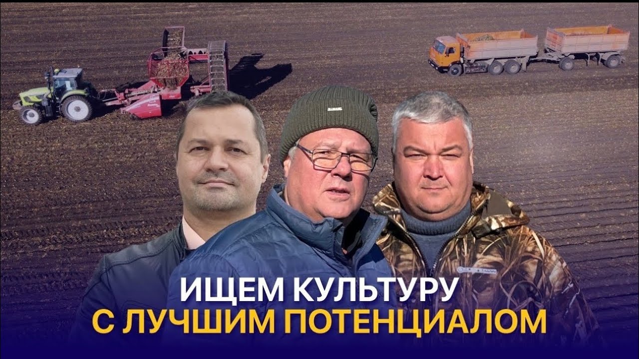 Удвоили урожайность зерновых и внедряем новые культуры — Зерновой консорциум Казахстана ЗКК