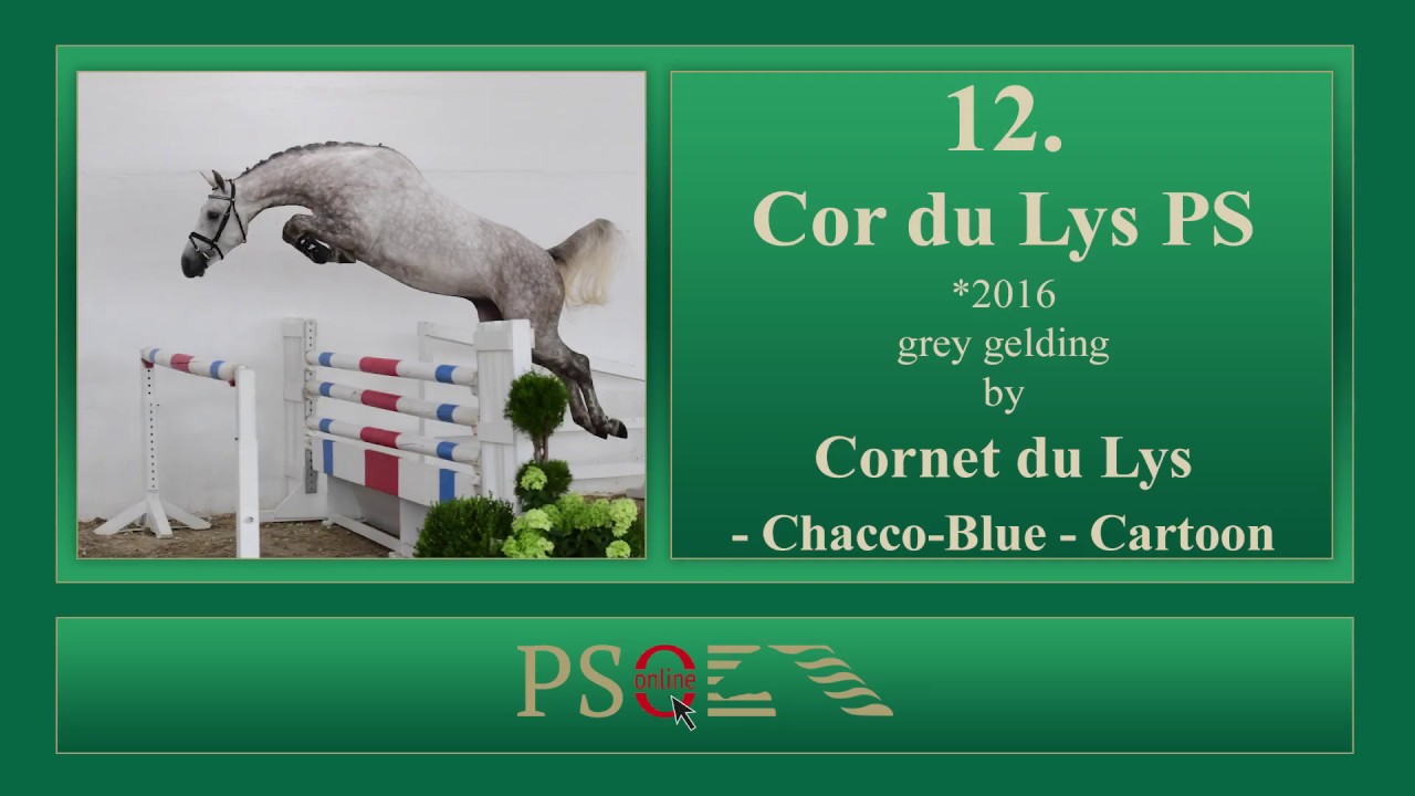12 Cor du Lys PS