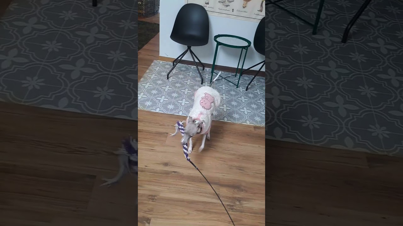 아이야~놀자♡