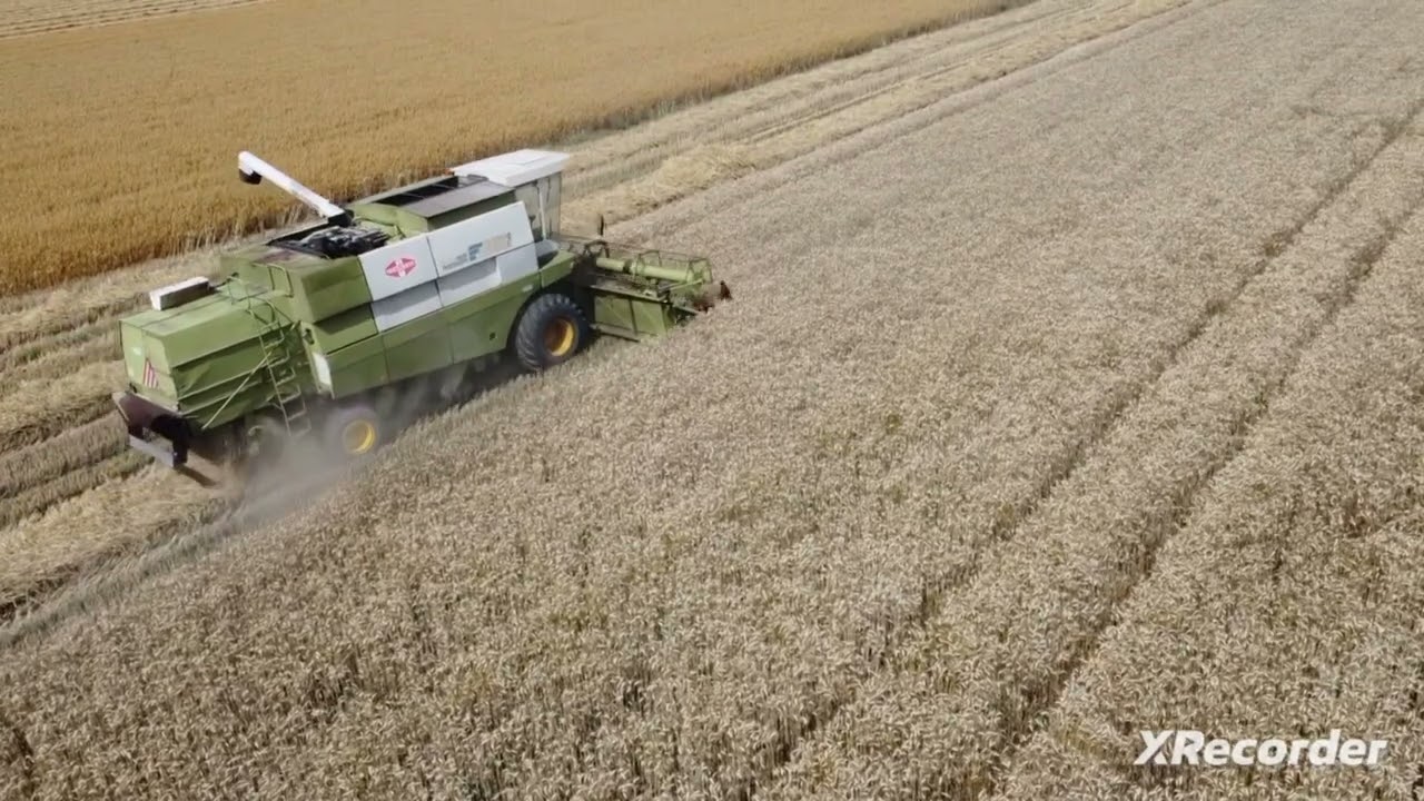 Żniwa 2025 pszenica foxx #fortschritt #e517 #ddr #johndeere #6310