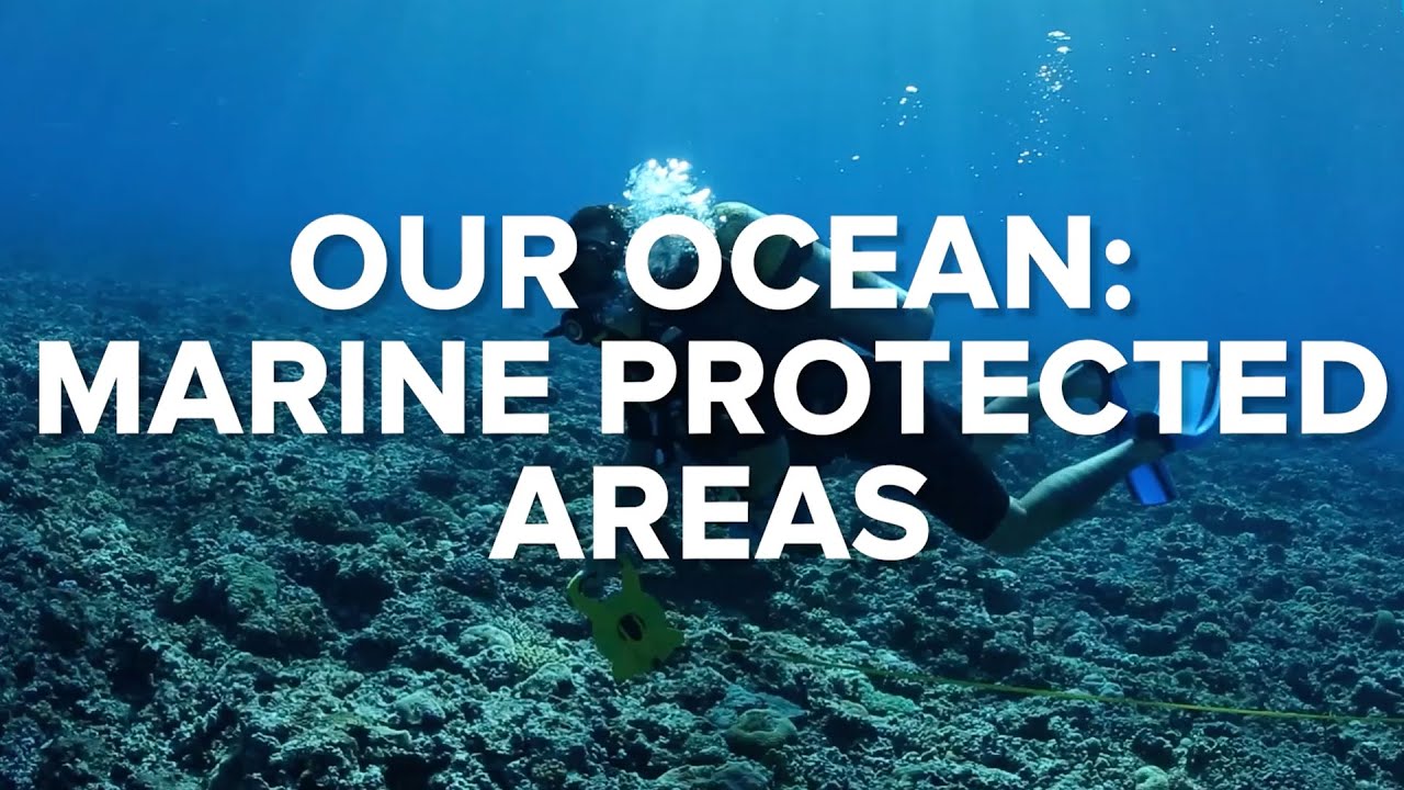 OUR OCEAN: MARINE PROTECTED AREAS - Ocean Conservation #3 | Conservation International Singapore