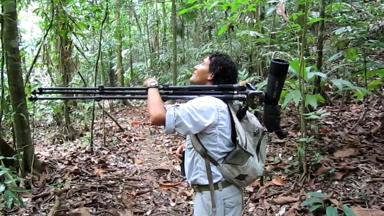 Into the Wilds of the Osa Peninsula, Costa Rica
