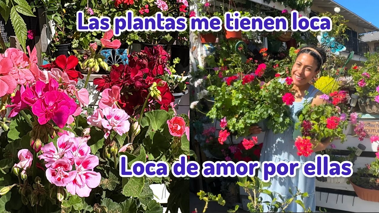Bienvenidos a mi Jardin  en el mes de marzo 
