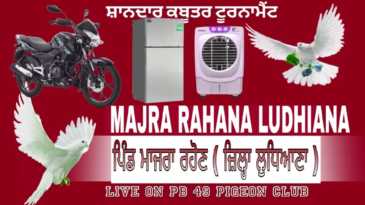 ਕਬੂਤਰ ਉਡਾਨ ਟੂਰਨਾਮੈਂਟ ਪਿੰਡ ਮਾਜਰਾ ਰਹੋਣ (ਜ਼ਿਲ੍ਹਾ ਲੁਧਿਆਣਾ) 17-5-2025LIVE ❤️ LIVE#PB49PIGEONCLUB