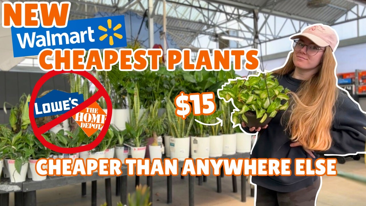 ☠️ buy THIS at walmart, NOT home depot 👀 new CHEAP & RARE plant finds at big box stores 😍