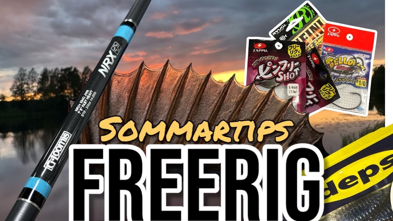 FREERIG SOMMARTID - TESTA DETTA