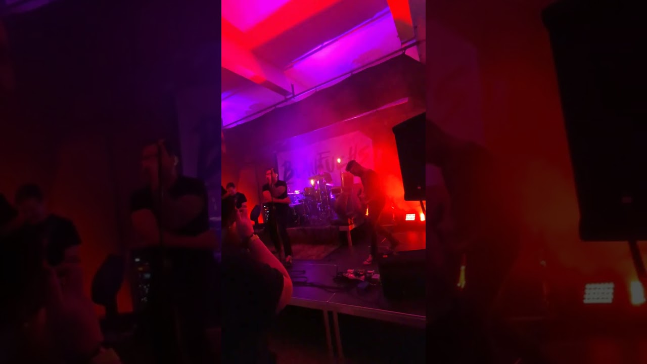 Blaufuchs - Sch&ouml;ner Tag - Live