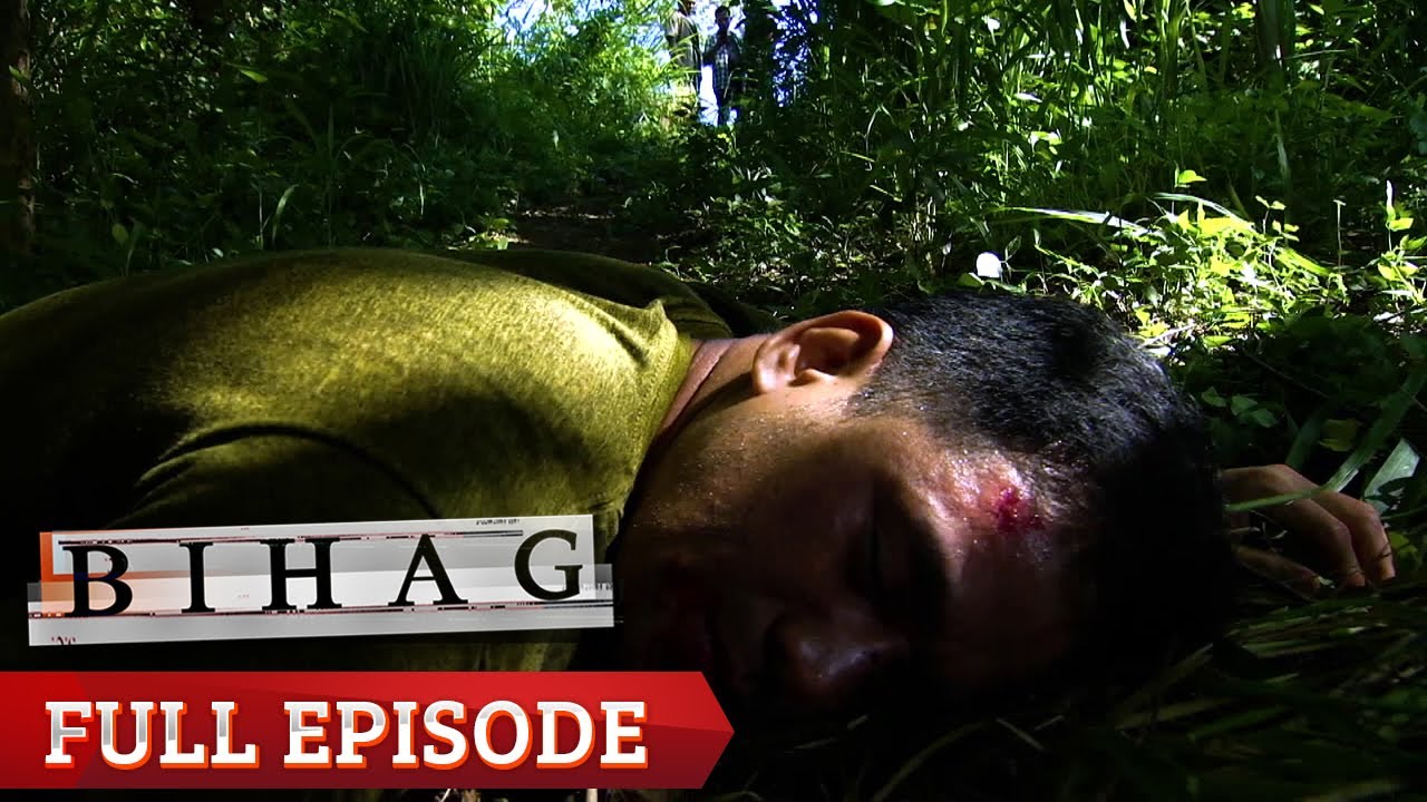 Bihag: Full Episode 74