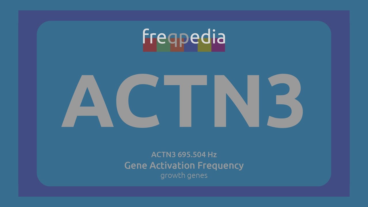 ACTN3 (muscle efficiency) Gene Activation Frequency