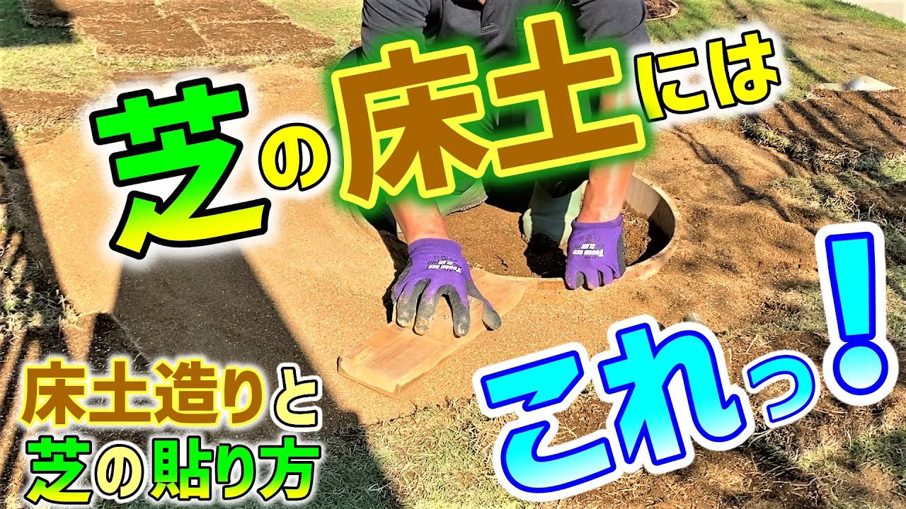 【芝生と雑木の庭】芝生の床土の造り方、オススメの床土材料、植木周りにサークル状の木枠を埋め込む方法、芝の効率的な貼り方をご紹介します！
