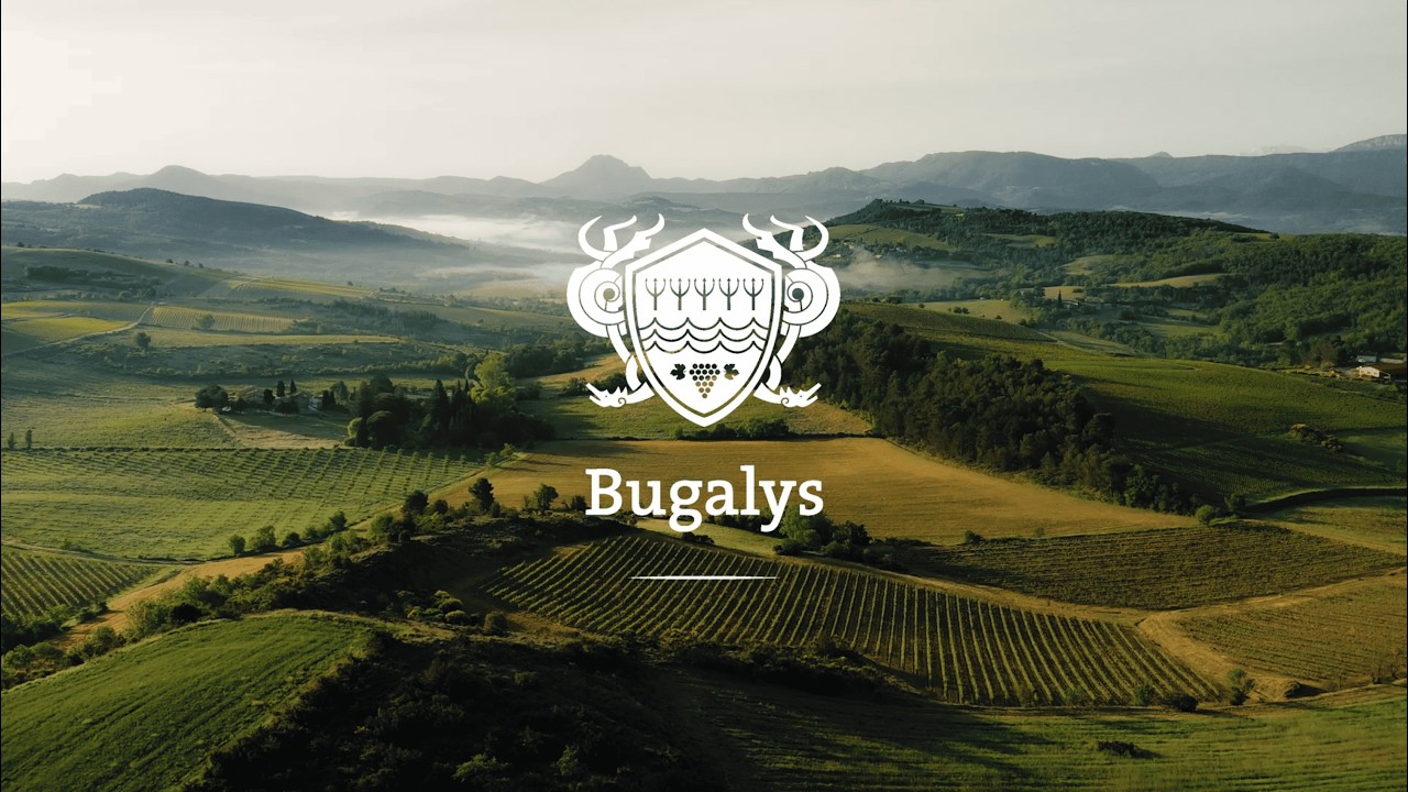 Bugalys vineyard presentation - STEN