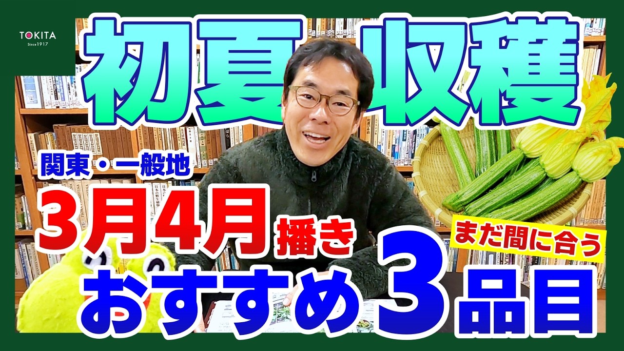 【もうすぐ夏です】まだまだ種まきシーズン！初夏収穫おすすめ３品目！【イタリア野菜】