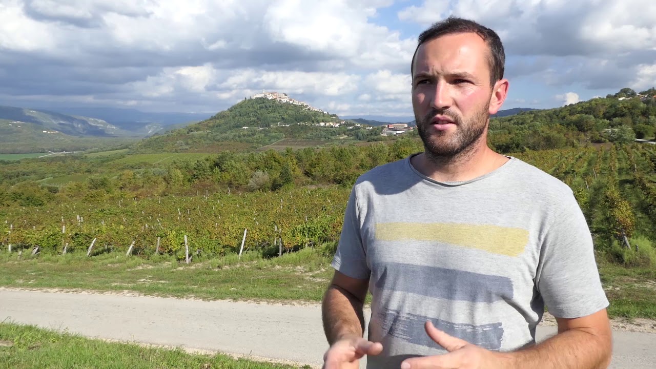Agroistra - Fakin vina