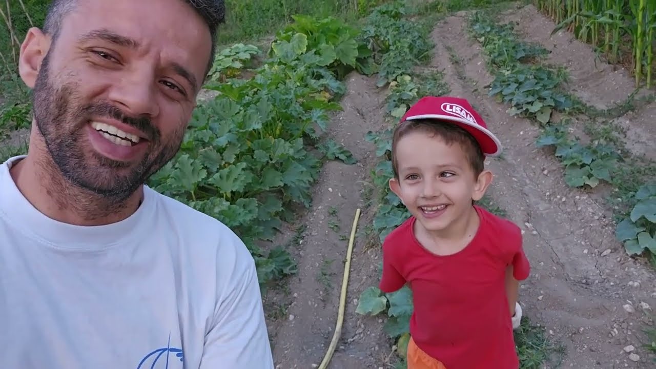 Incep sa se Faca Pepenii La Gradina Mea