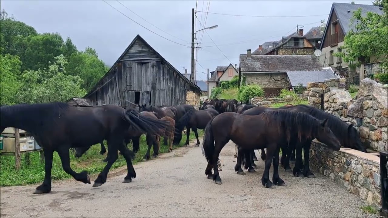 Couserans  Pyrénées ariégeoises